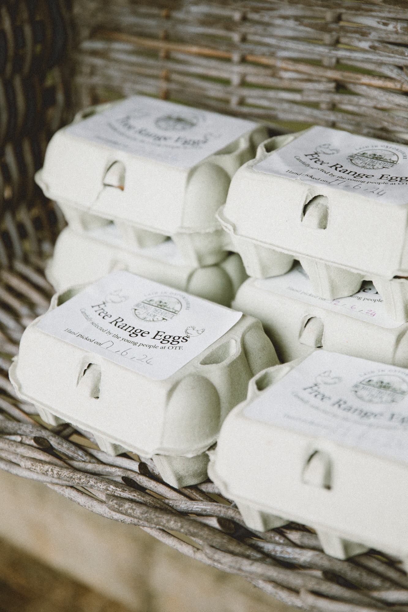 fresh eggs from Orchard Therapeutic Farm