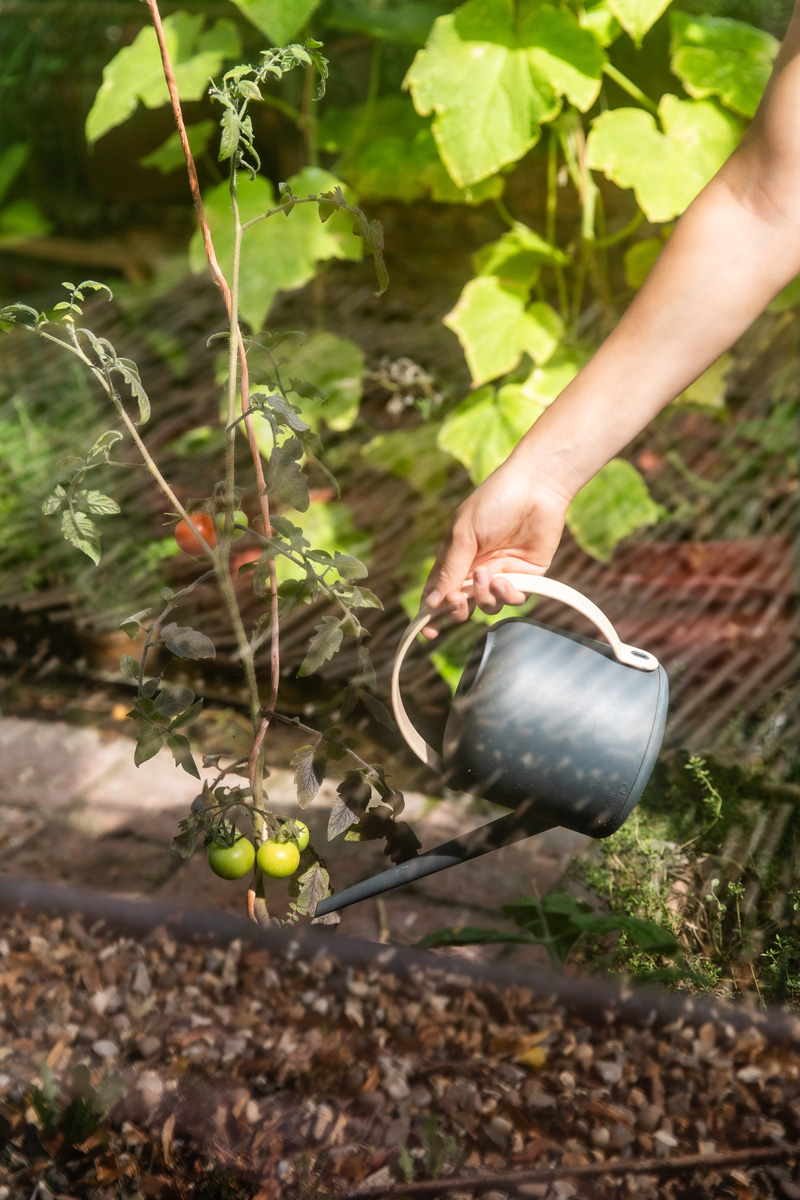 Orchard Therapeutic Producers