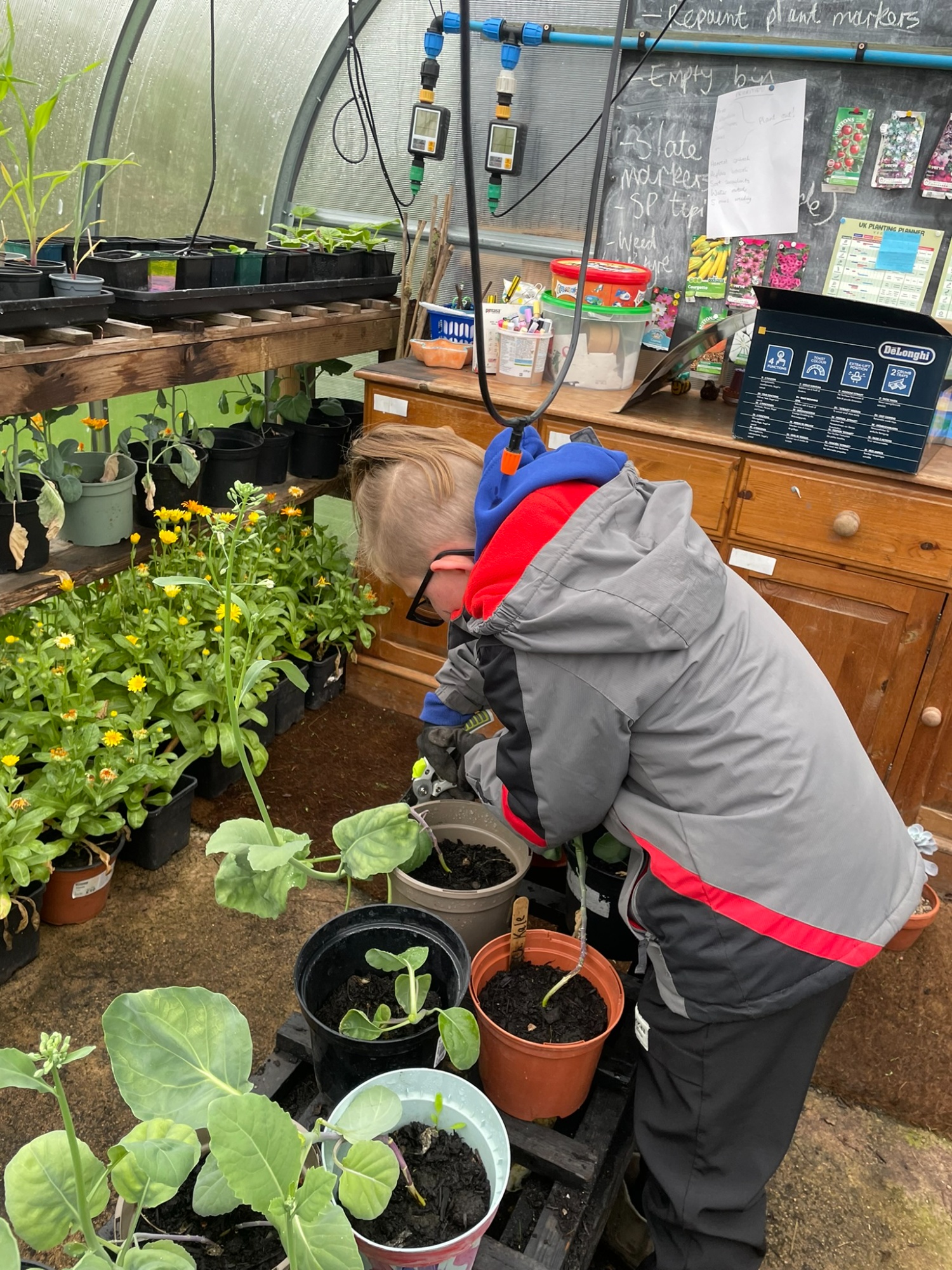 Young enterprise at Orchard Therapeutic Farm