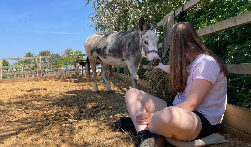 Orchard Therapeutic Farm Core Programme